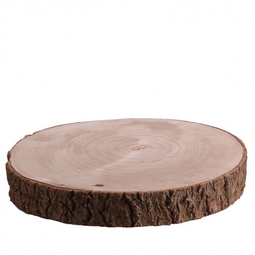 Natural wood log slice tree - wood,