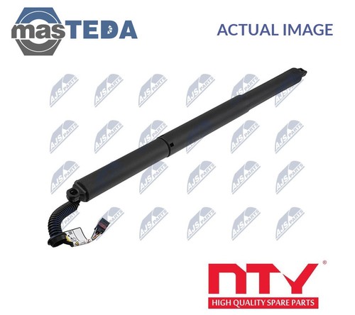 113 tailgate boot strut - ae-ww-113,