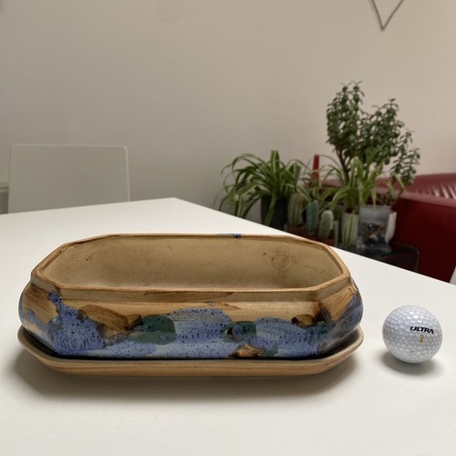 Bonsai pot hand made - bonsai,