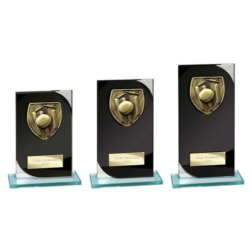 Cricket trophies glass - cricket,