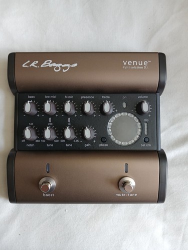 Baggs venue acoustic - baggs,