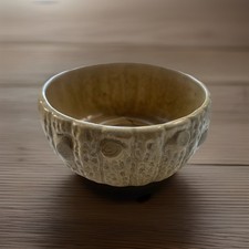 Vintage SylvaC Plant