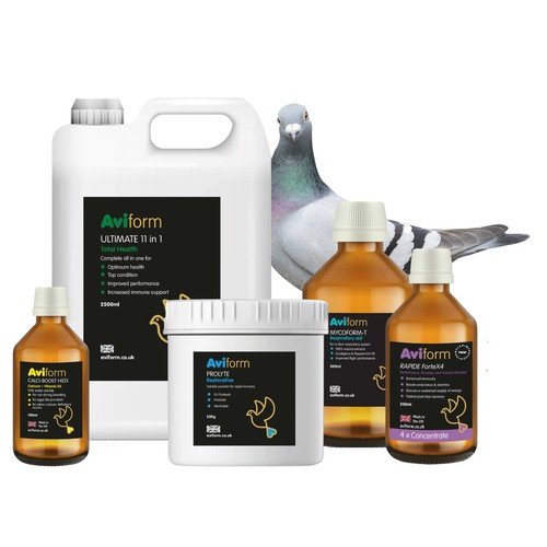 Aviform racing pigeon power - ,