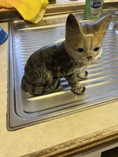 Leonardo Collection Cat