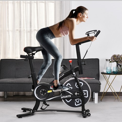 Exercise training bike - exercise,