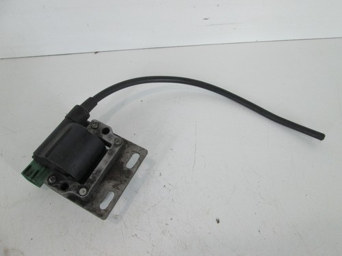 Rotax fr125 max - early, ignition
