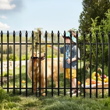 Black Metal Decorative Garden