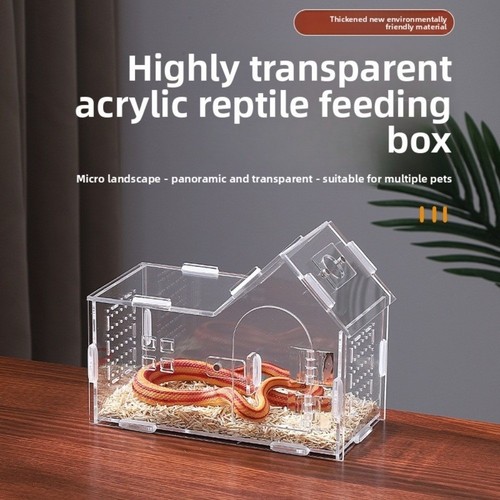 Acrylic lizard breeding box - acrylic,