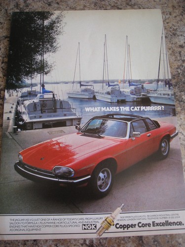 Jaguar xjs v12 ngk - jaguar, plugs