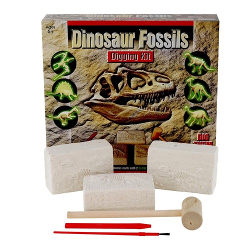 Fossils digging excavation kit - fossils,