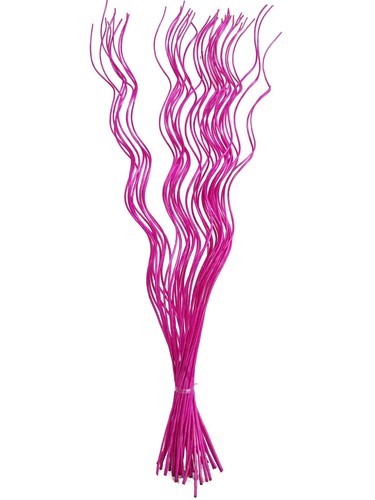Spiral corkscrew curly willow - corkscrew,