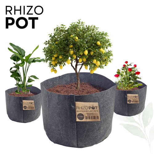 Rhizo pot fabric - pot, plant