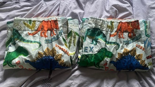 Dinosaur curtains - dinosaur,