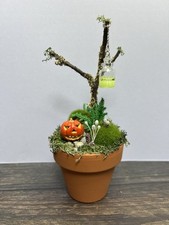 OOAK Miniature Fairy Garden