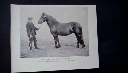 C1910 print highland - c1910,,