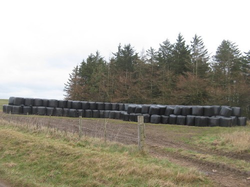 Photo 6x4 silage bales near - 6x4,