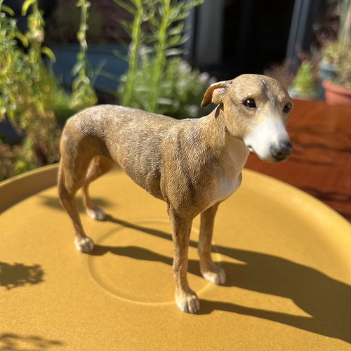 Vintage leonardo greyhound dog - greyhound,