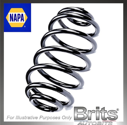 Rear coil spring - rear,