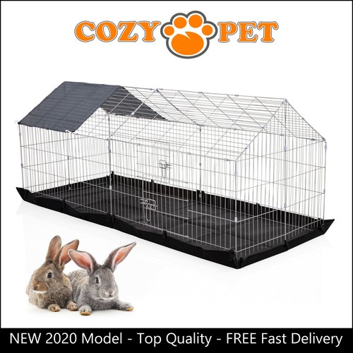 Cozy pet rabbit - cozy, with