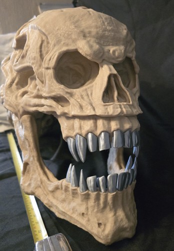 Alien xenomorph skull - xenomorph,