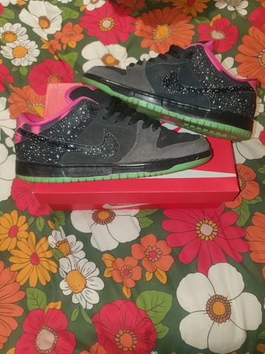 Nike dunk low - dunk, northern