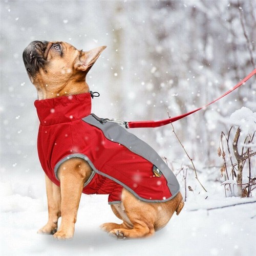 Waterproof dog coat - dog, winter