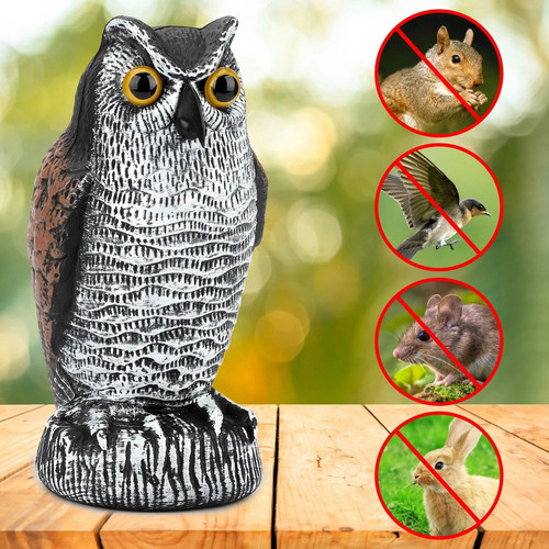 Owl decoy statue protect - owl,