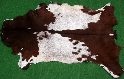 New goat hide - goat, on