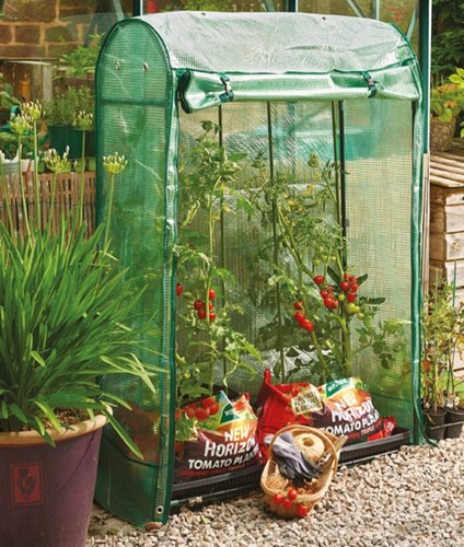 Gardman tomato greenhouse - tomato,
