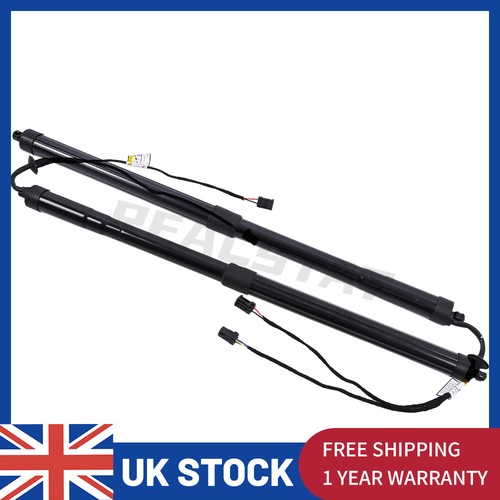 Electronic tailgate - electronic,