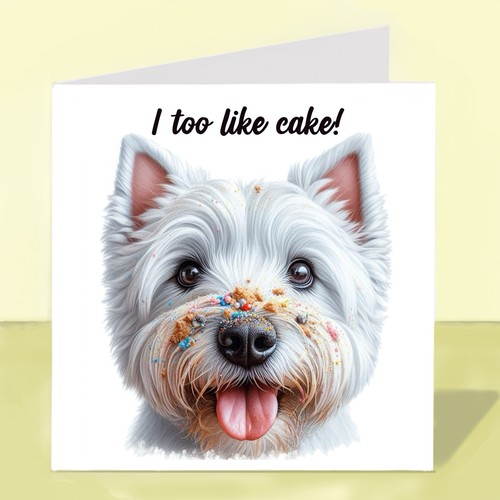 West highland white terrier - white,