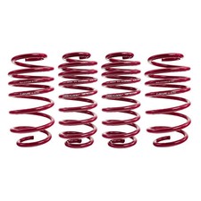 Vogtland sport lowering - sport,