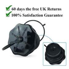 GFE6003 | Classic MINI Oil