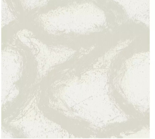 Harlequin enigmatic oyster - harlequin,