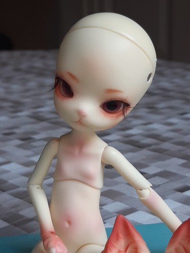 Dollzone mini kitty coa bjd - kitty,