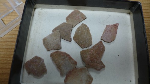 Geological enterprises fossil - geological,