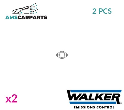Exhaust pipe gasket - pipe,