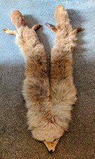 Vintage Mink Pelts Taxidermy Collar Wrap Scarf Stole Shawl With Head Feet Legs