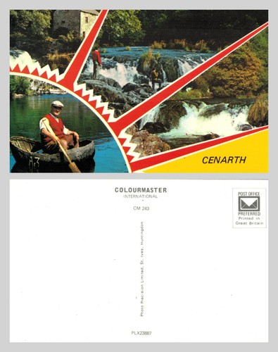 Postcard cenarth falls - -,
