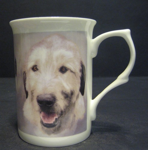 Irish wolfhound dog - dog, bone