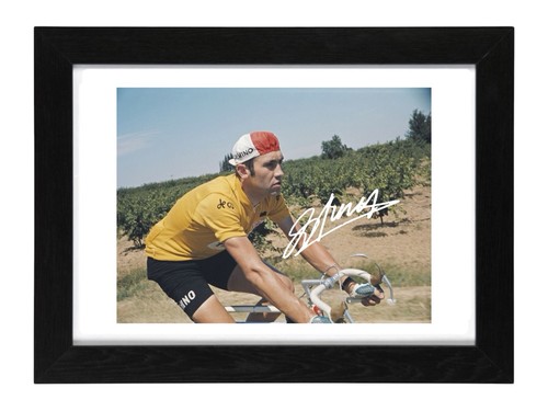 Eddy merckx signed - merckx, autograph