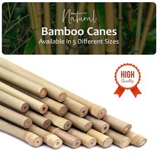 Bamboo Canes Strong Thick Professional Garden Plant Flowers Support Sticks-UK