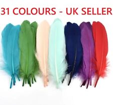 Real Goose Feathers Natural 12cm - 20cm Fly Craft Hat Arts Costume Plume UK