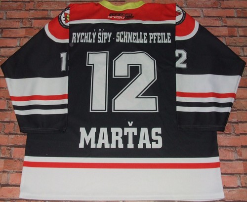 Ice hockey jersey rychly sipy - ice,