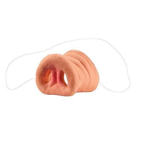 Loftus hog snout pig - hog,