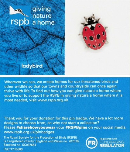 Rspb pin badge - badge, ladybird