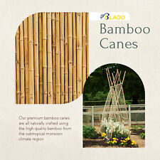 Bamboo Cane Heavy Duty Garden