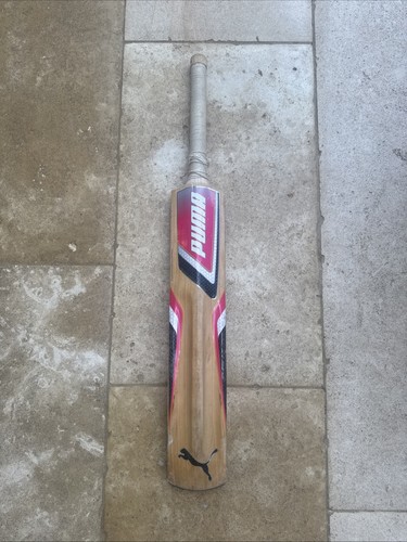 Puma evolution 5000 cricket - puma,
