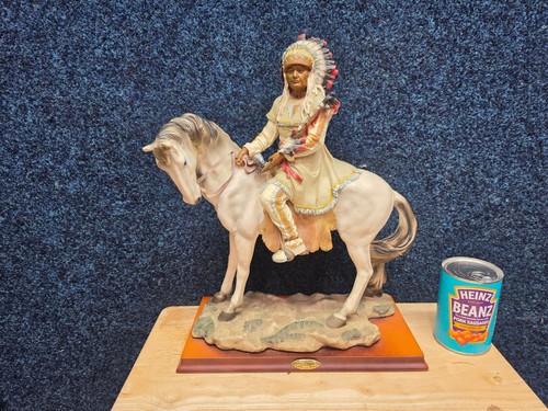 Native american indian chief - native,