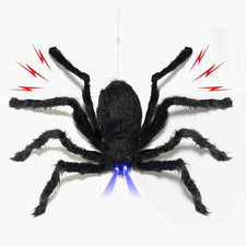 Animated Spider Halloween